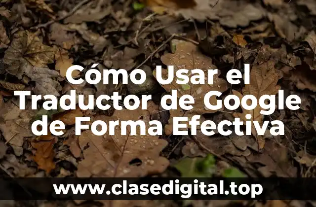 Funciones Básicas del Traductor de Google