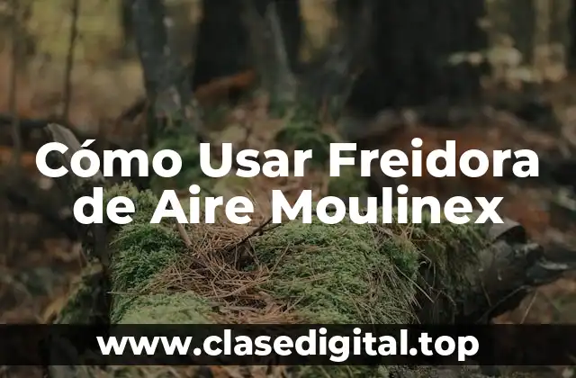 Cómo Usar Freidora de Aire Moulinex