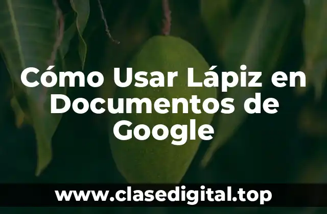 Cómo Usar Lápiz en Documentos de Google