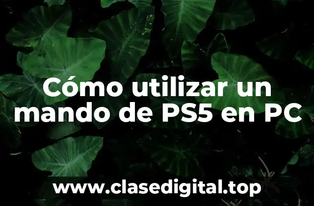 Cómo utilizar un mando de PS5 en PC