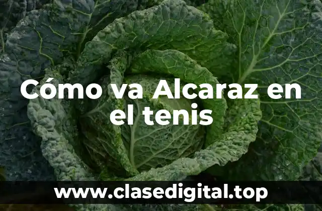Cómo va Alcaraz en el tenis