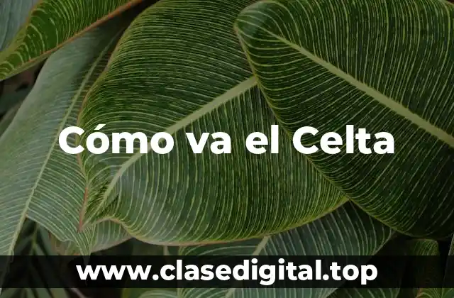 Antecedentes del Celta de Vigo