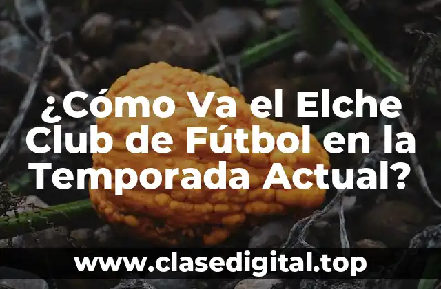 ¿Cómo Va el Elche Club de Fútbol en la Temporada Actual?