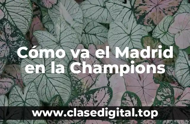Cómo va el Madrid en la Champions