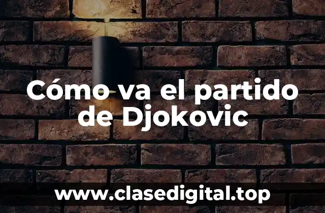 Cómo va el partido de Djokovic