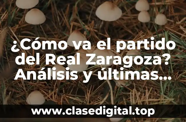 Análisis de la temporada actual del Real Zaragoza