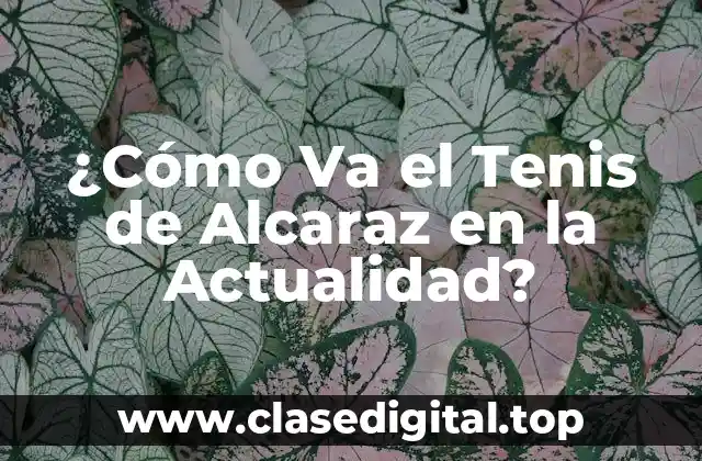 El Ascenso Meteórico de Alcaraz en el Circuito ATP