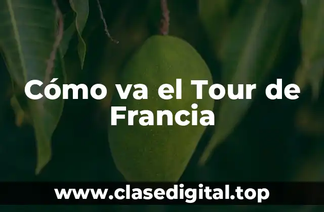 Cómo va el Tour de Francia
