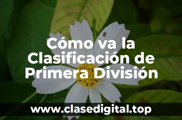 Cómo va la Clasificación de Primera División