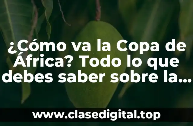¿Cómo va la Copa de África? Todo lo que debes saber sobre la competición