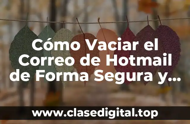 Cómo Vaciar el Correo de Hotmail de Forma Segura y Eficiente
