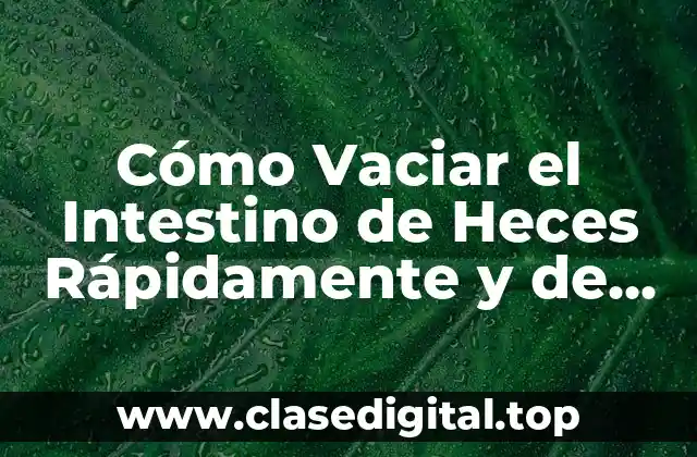 Cómo Vaciar el Intestino de Heces Rápidamente y de Forma Natural