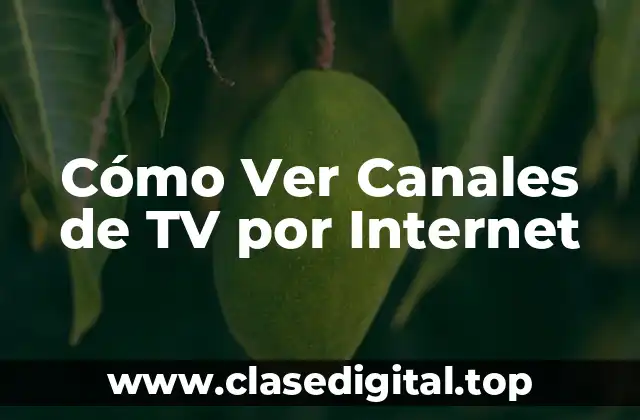 Cómo Ver Canales de TV por Internet