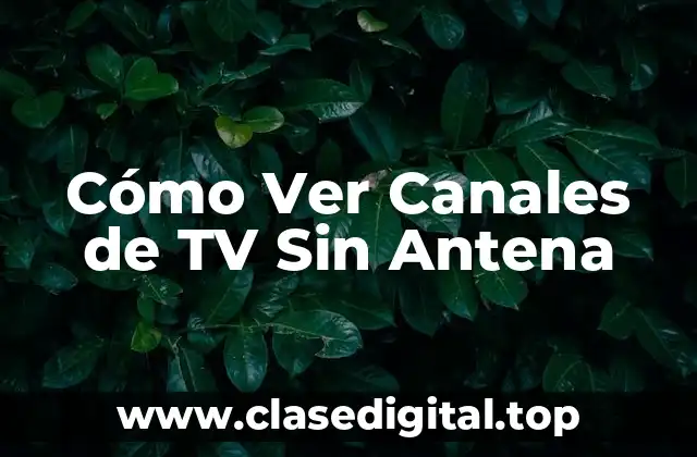 ¿Por qué Ver Canales de TV Sin Antena es una Opción Atractiva?