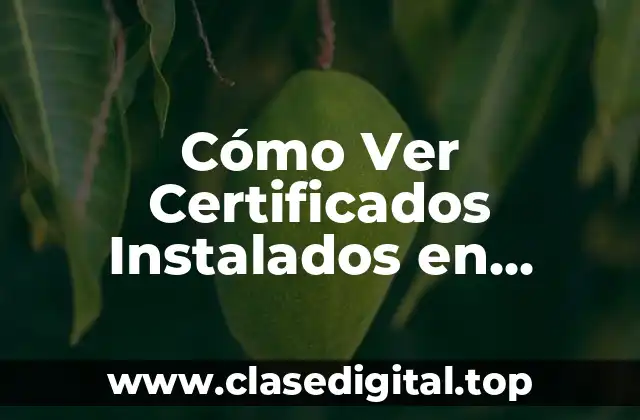 Cómo Ver Certificados Instalados en Chrome