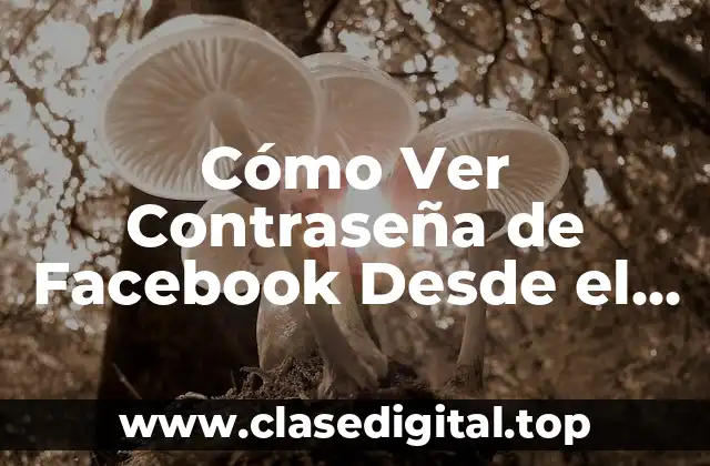 Cómo Ver Contraseña de Facebook Desde el Celular