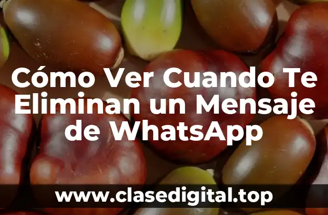 Cómo Ver Cuando Te Eliminan un Mensaje de WhatsApp