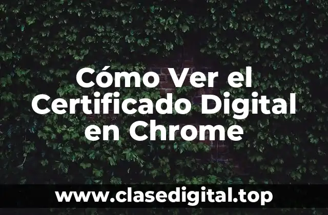 Cómo Ver el Certificado Digital en Chrome