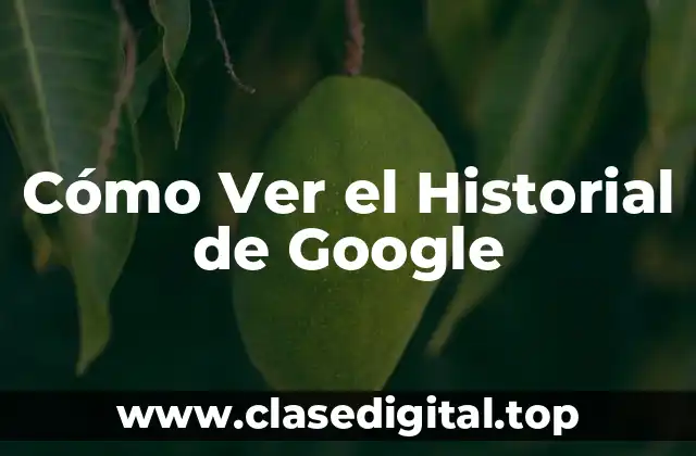 ¿Qué es el Historial de Google?