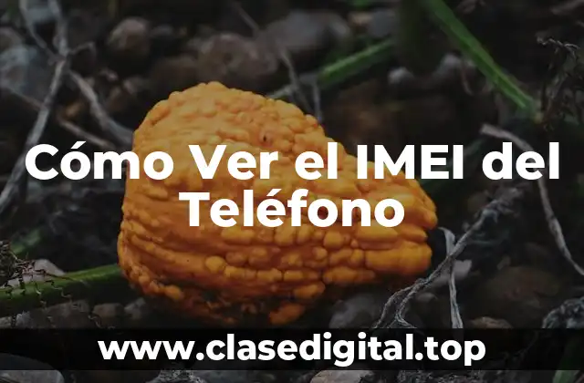 ¿Qué es el IMEI del Teléfono y para qué Sirve?