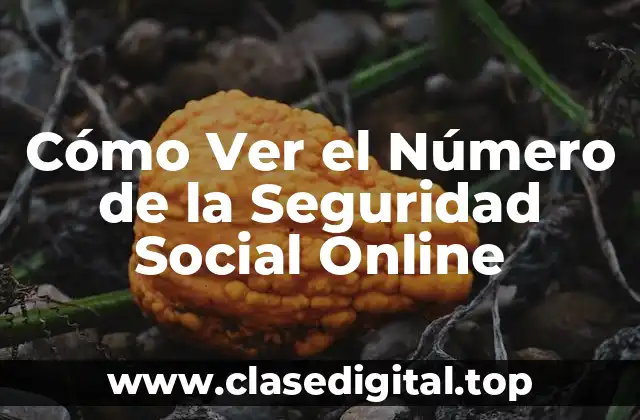 Cómo Ver el Número de la Seguridad Social Online