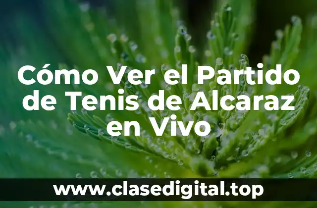 Cómo Ver el Partido de Tenis de Alcaraz en Vivo