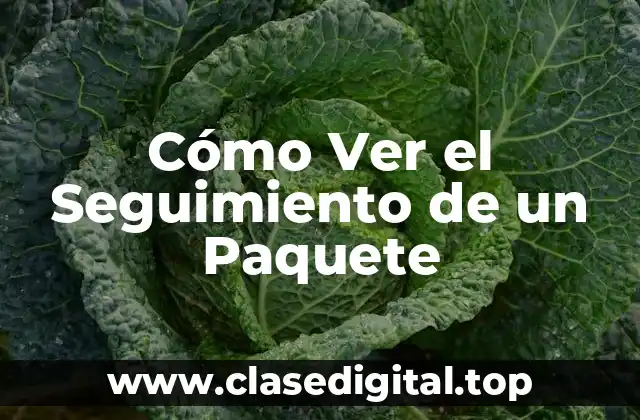 Cómo Ver el Seguimiento de un Paquete