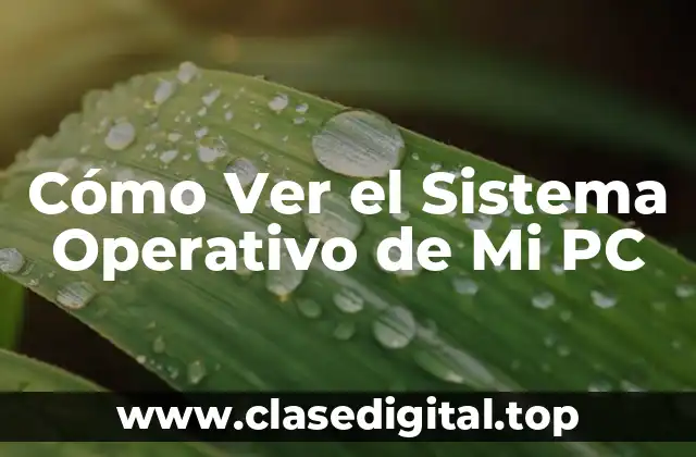 Cómo Ver el Sistema Operativo de Mi PC