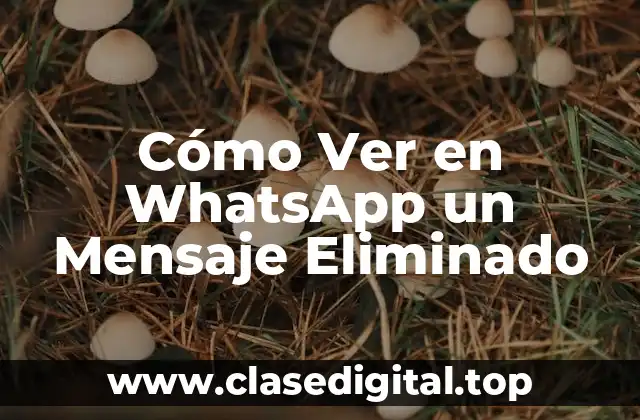 Cómo Ver en WhatsApp un Mensaje Eliminado