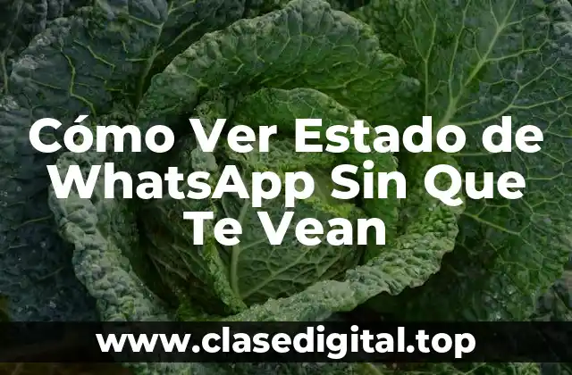 Cómo Ver Estado de WhatsApp Sin Que Te Vean