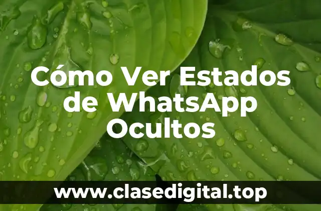 ¿Por Qué las Personas Quieren Ver Estados de WhatsApp Ocultos?