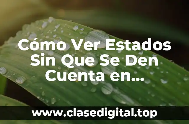 Cómo Ver Estados Sin Que Se Den Cuenta en WhatsApp