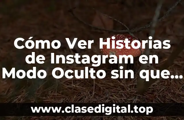 Cómo Ver Historias de Instagram en Modo Oculto sin que te Descubran