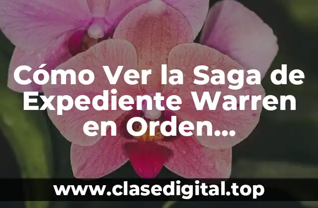 Cómo Ver la Saga de Expediente Warren en Orden Cronológico y por Estreno
