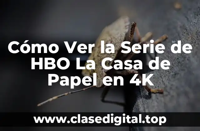 Cómo Ver la Serie de HBO La Casa de Papel en 4K