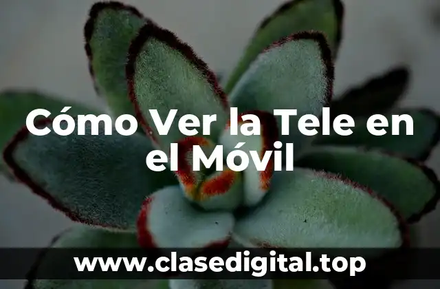 Cómo Ver la Tele en el Móvil