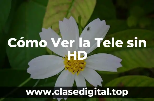 Cómo Ver la Tele sin HD