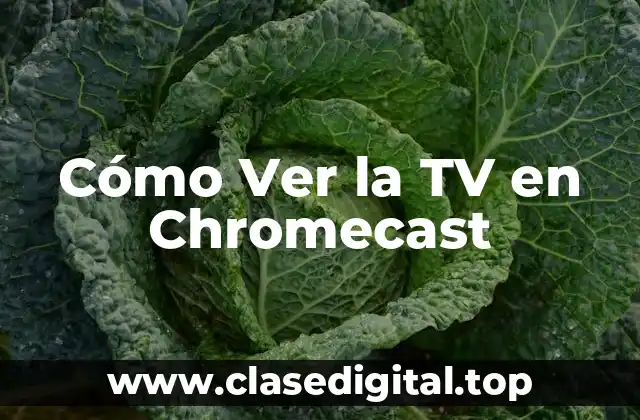 Cómo Ver la TV en Chromecast