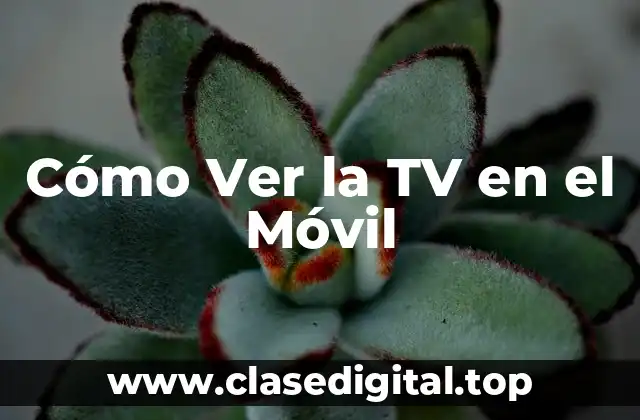 Cómo Ver la TV en el Móvil