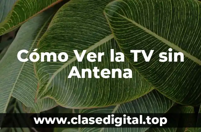 ¿Qué es la Televisión por Internet?