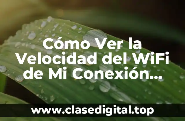 Cómo Ver la Velocidad del WiFi de Mi Conexión Internet
