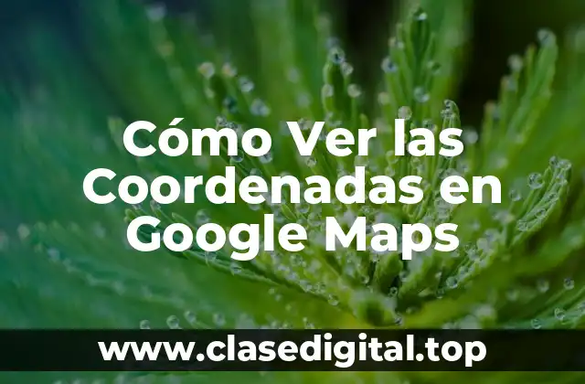 Cómo Ver las Coordenadas en Google Maps