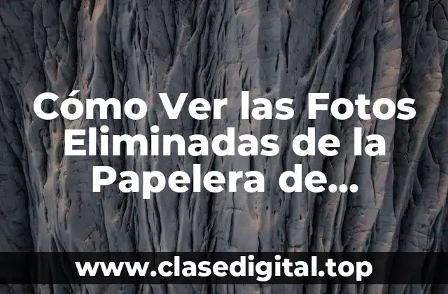 ¿Cuál es la Papelera de Reciclaje y Cómo Funciona?