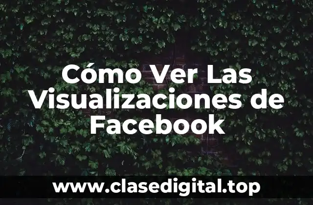 Cómo Ver Las Visualizaciones de Facebook