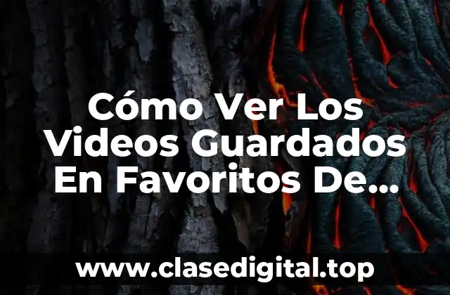 Cómo Ver Los Videos Guardados En Favoritos De TikTok