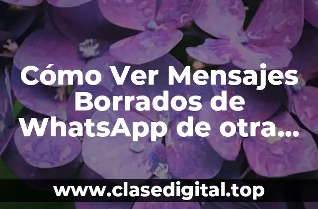Cómo Ver Mensajes Borrados de WhatsApp de otra Persona