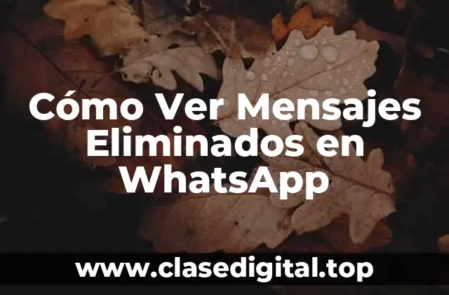 Cómo Ver Mensajes Eliminados en WhatsApp