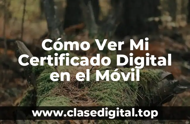 Cómo Ver Mi Certificado Digital en el Móvil