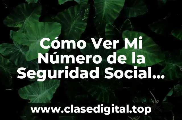 Cómo Ver Mi Número de la Seguridad Social Online Gratis