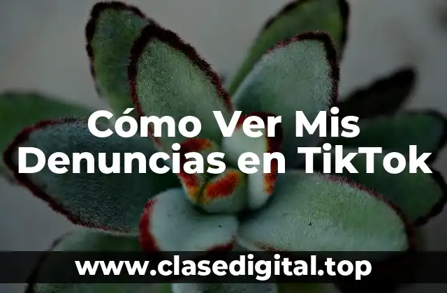 Cómo Ver Mis Denuncias en TikTok